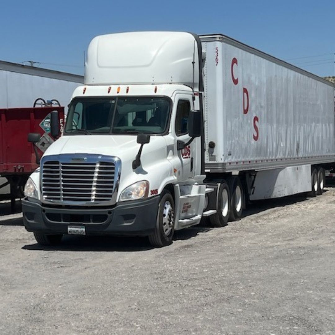 Asset Division Red Dog